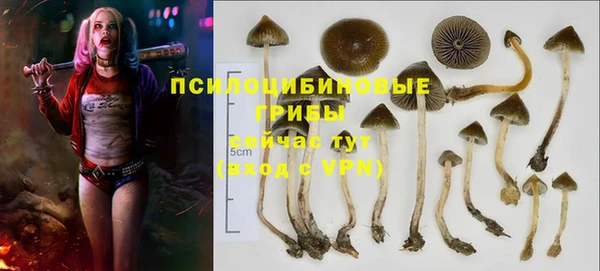 мет Алзамай