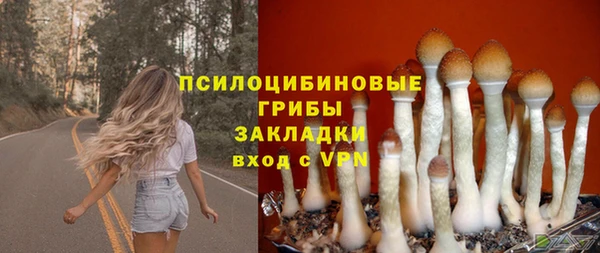 дурь Абаза