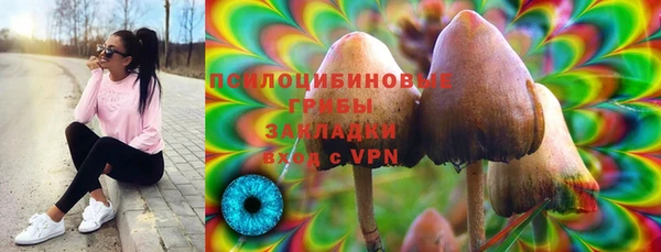 гидропоника Алексин