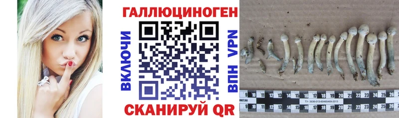 Галлюциногенные грибы прущие грибы  Протвино 
