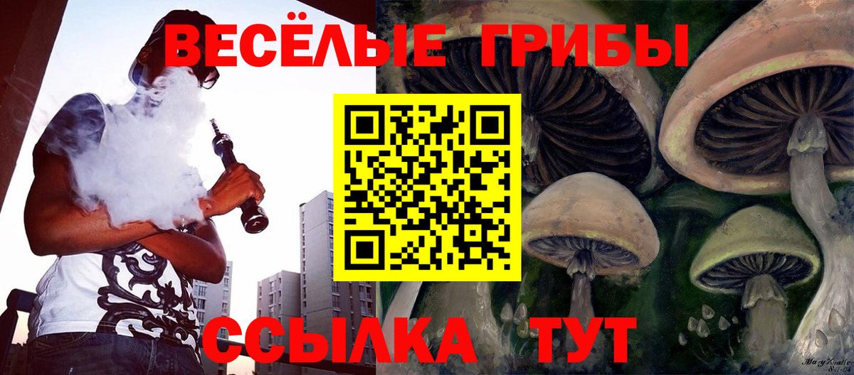 Галлюциногенные грибы MAGIC MUSHROOMS Протвино