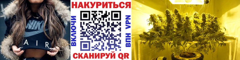 kraken ССЫЛКА  Протвино  Бошки марихуана план  где купить наркоту 